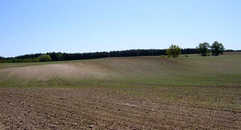 Gleby strefowe Gleby płowe i