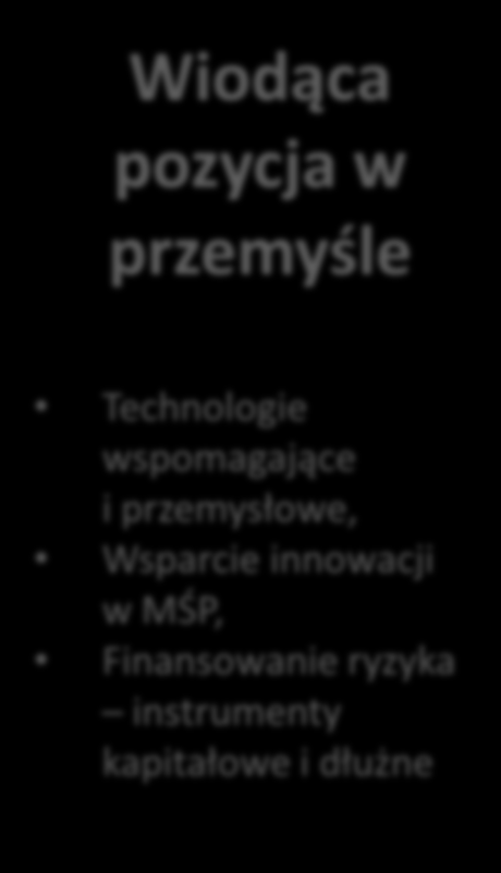 i efektywna energia Inteligentny, ekologiczny i zintegrowany transport Działania w dziedzinie klimatu, efektywna gospodarka