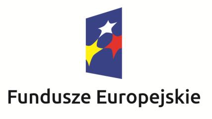 Należy również umieścić informację słowną, że materiał (np. druk ulotki) jest współfinansowany ze środków konkretnego funduszu/funduszy. 11.