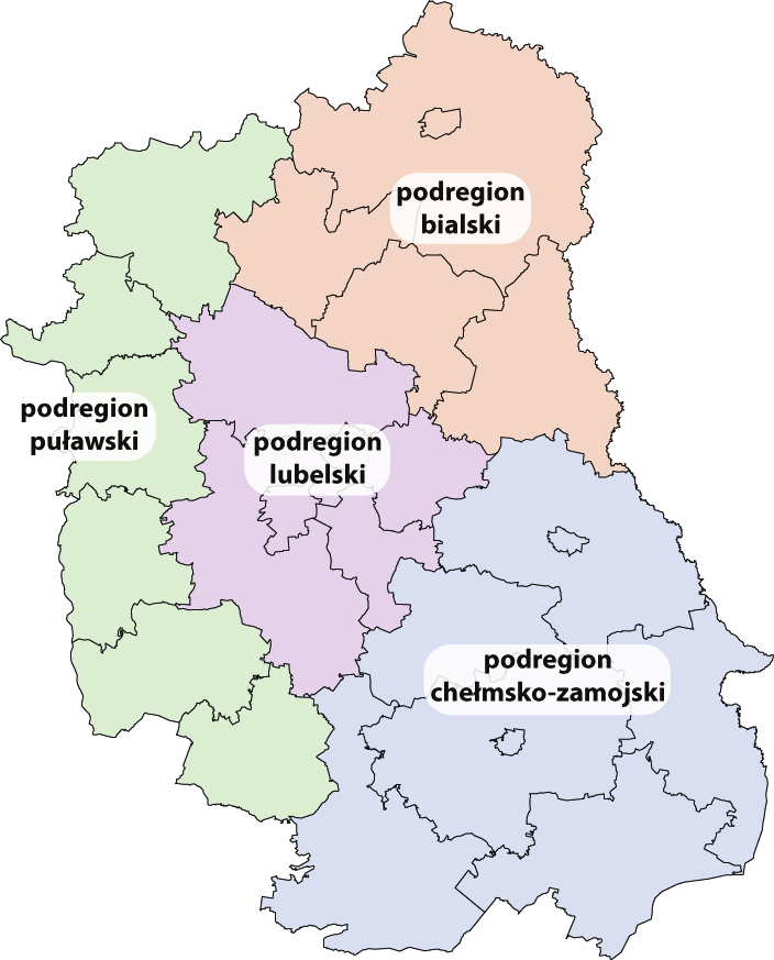 132 Zeszyty Naukowe WSEI seria: EKONOMIA, 11(1/2016) WSEI Scientific Journal series: ECONOMICS, 11(1/2016) woju gospodarczego notuje podregion lubelski, w którym PKB per capita w 2012 roku było o 31%