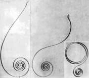 Sprężyny spiralne napędowe w bębnie nieco droższe od sprężyn swobodnych ale pozbawione ich wad, sztywno zamocowany koniec wewnętrzny i zewnętrzny, zajmują mniej miejsca, napinane są wałkiem zaś