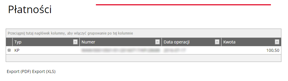 Istnieje możliwość exportu zestawienia faktur do pliku PDF lub XLS 5.2.