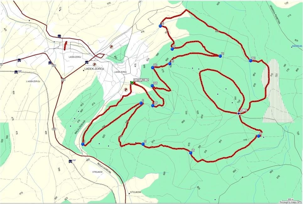 6. Trasa oparta na drogach leśnych, szutrowych, polnych i dojazdach asfaltowych. V. RUCH DROGOWY:.