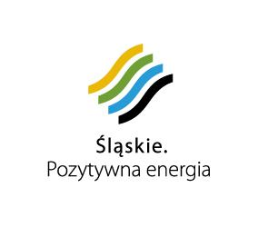 PROJEKT SZCZEGÓŁOWEGO OPISU PRIORYTETÓW REGIONALNEGO PROGRAMU OPERACYJNEGO WOJEWÓDZTWA ŚLĄSKIEGO