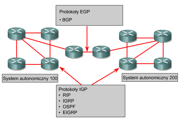 Protokoły routingu Procesy