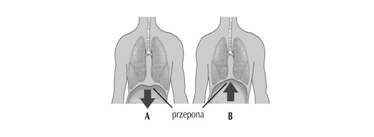 Ustal, który z rysunków (A czy B) przedstawia wdech. Swój wybór uzasadnij jednym argumentem. Zadanie 12. (2 pkt.) Podaj nazwę związku chemicznego, którego budowę przedstawia schemat.