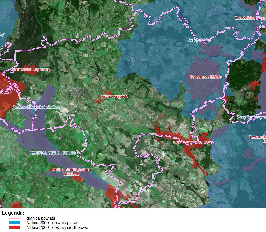 Ryc. 34 Lokalizacja obszarów Natura 2000 w granicach powiatu stargardzkiego Źródło: www.geoserwis.gdos.gov.pl Rezerwat przyrody Wyspa Sołtyski wyspa na jeziorze Ińsko o powierzchni 22,71 ha.