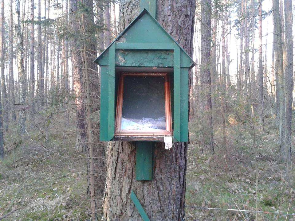 Stowarzyszenie Pękowiec, które mam zaszczyt reprezentować, zwróciło się z prośbą o pomoc do Pana Artura Ratusznika Nadleśniczego Nadleśnictwa Włoszczowa.