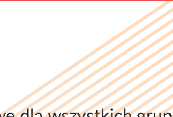 materiały szkoleniowe, działające przy ZDZ komisje