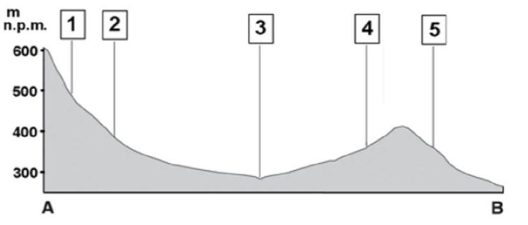 Miejsce na obliczenia: Odległość w terenie wynosi... km Zadanie 5. (1 pkt) Rumowiska skalne, nazywane gołoborzami, stanowią charakterystyczny element rzeźby Gór Świętokrzyskich.