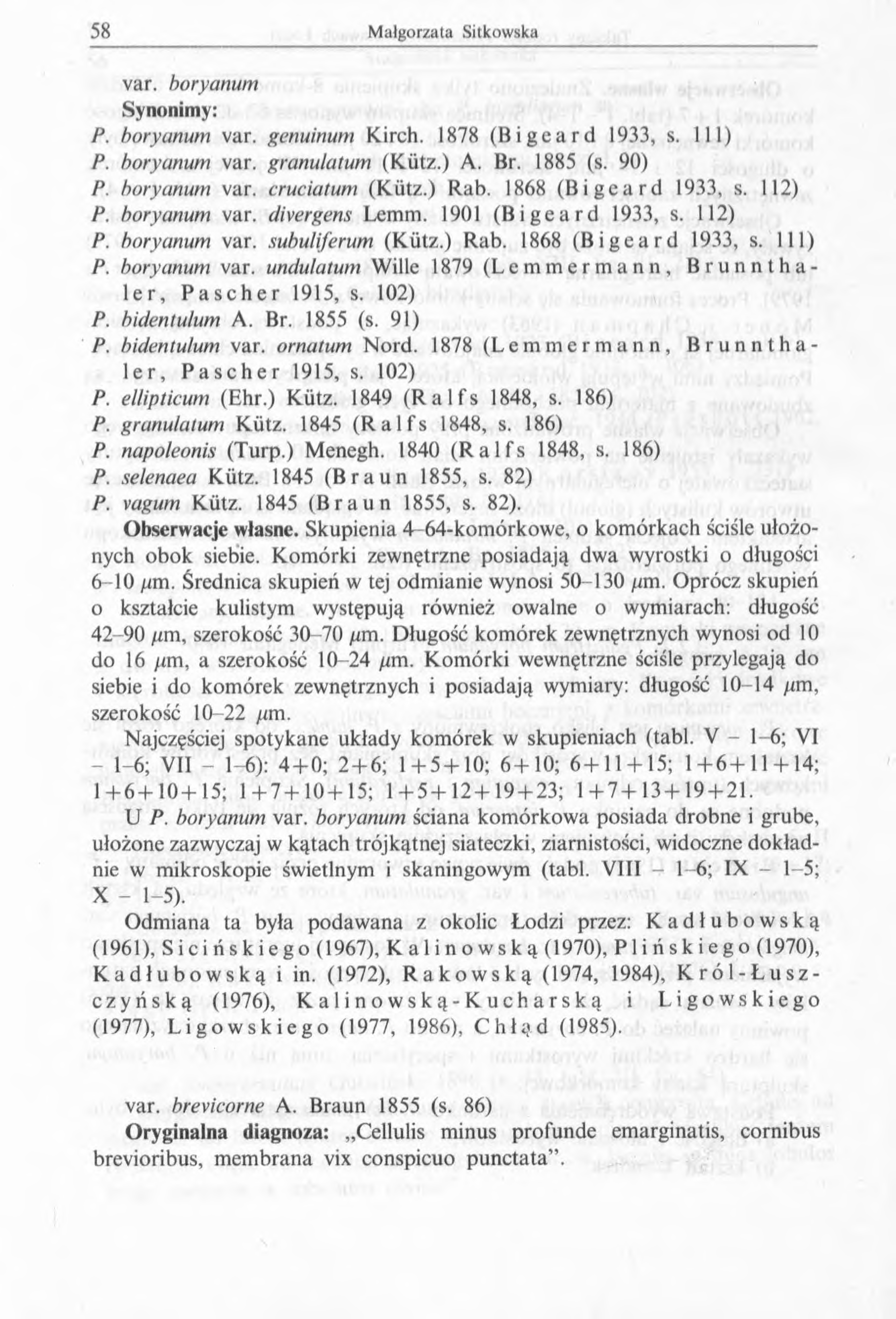 var. boryanum Synonimy: P. boryanum var. genuinum Kirch. 1878 (Bigcard 1933, s. 111) P. boryanum var. granulatum (Kiitz.) A. Br. 1885 (s. 90) P. boryanum var. cruciatum (Kiitz.) Rab.