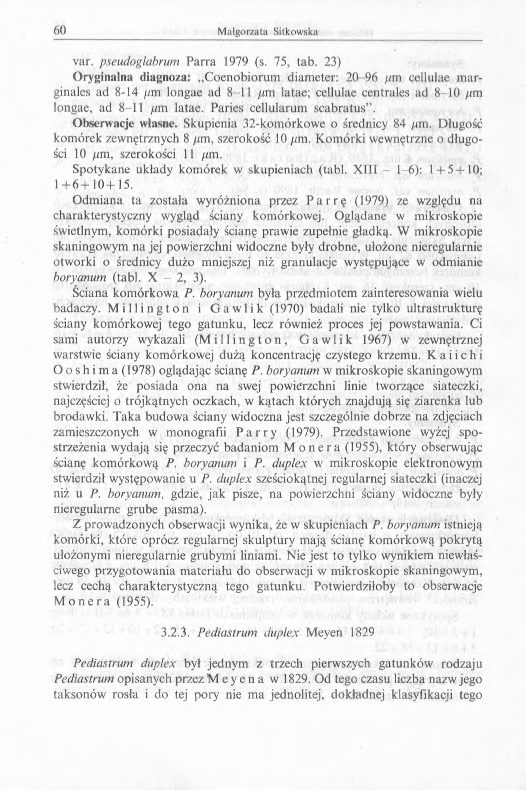 var. pseudoglabrum Parra 1979 (s. 75, tab.