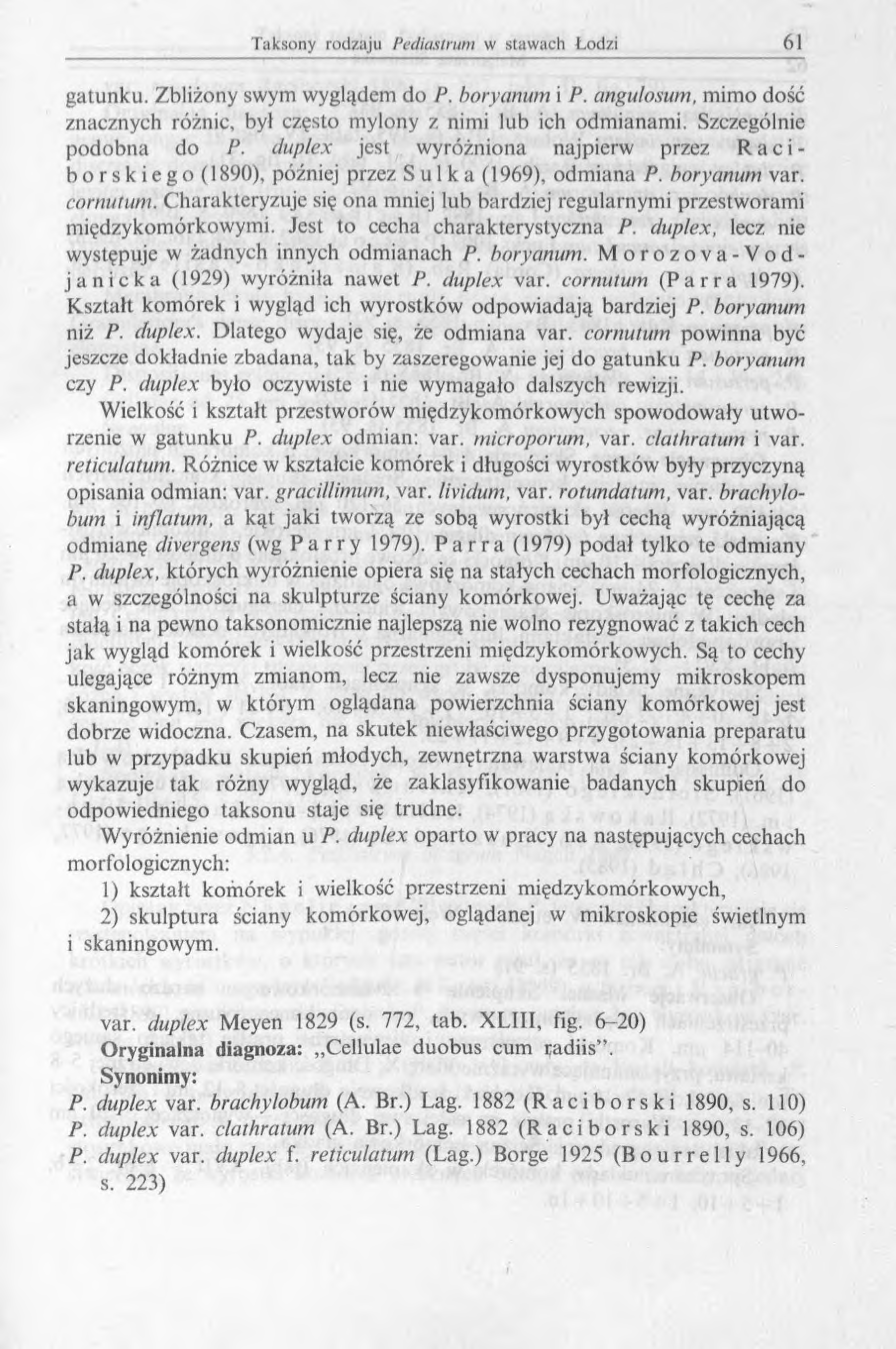 gatunku. Zbliżony swym wyglądem do P. boryanum i P. angulosum, mimo dość znacznych różnic, był często mylony z nimi lub ich odmianami. Szczególnie podobna do P.