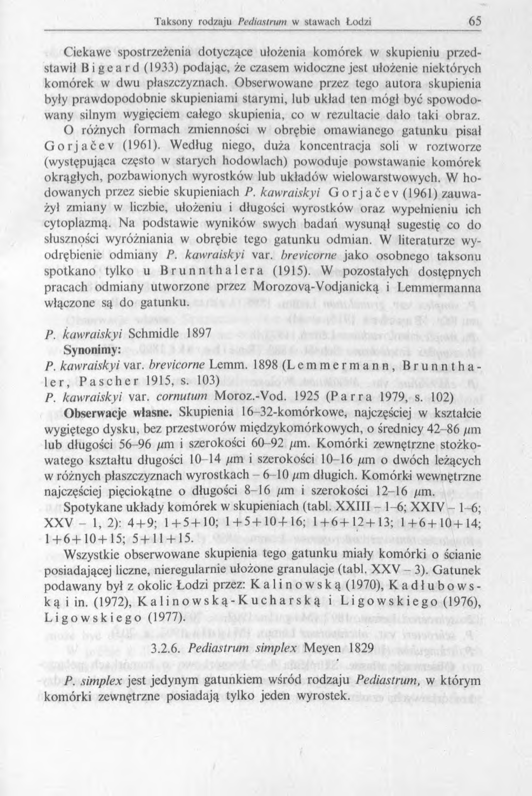 Ciekawe spostrzeżenia dotyczące ułożenia komórek w skupieniu przedstawił Bigę a r d (1933) podając, że czasem widoczne jest ułożenie niektórych komórek w dwu płaszczyznach.