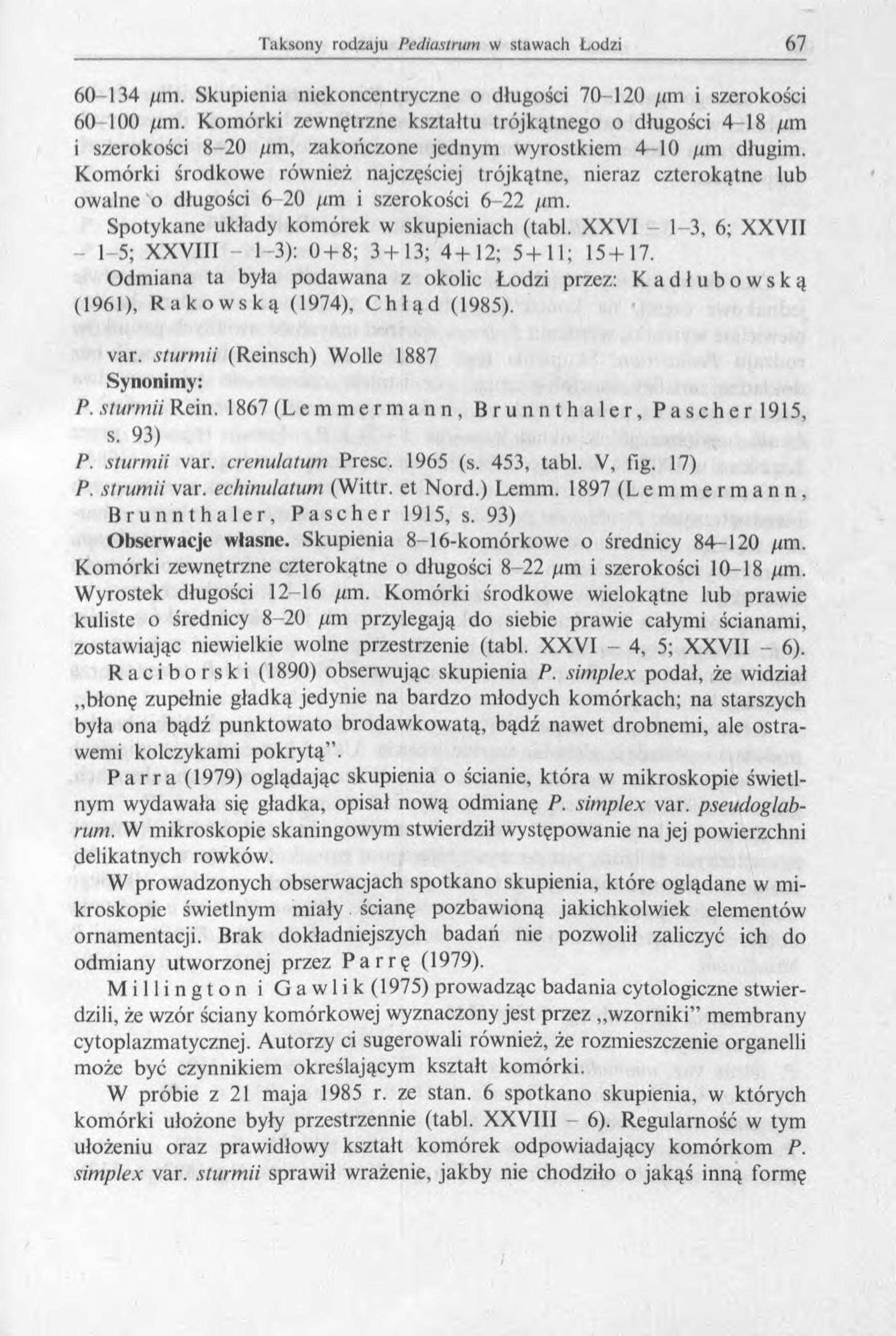 60-134 / m. Skupienia niekoncentryczne o długości 70-120 /tm i szerokości 60 100 / m.