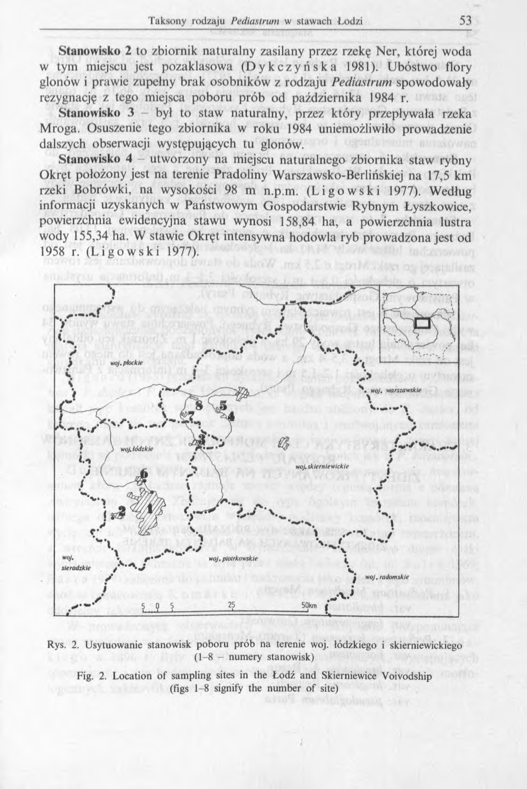 Stanowisko 2 to zbiornik naturalny zasilany przez rzekę Ner, której woda w tym miejscu jest pozaklasowa (Dykczyńska 1981).