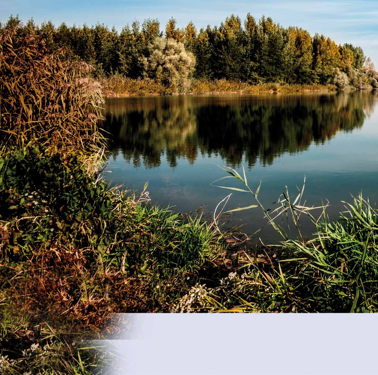 9 1 WARUNKI NATURALNE I OCHRONA ŚRODOWISKA 9 1.