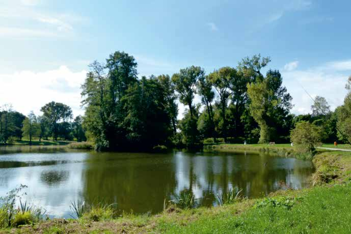 Tabela 1.3 Tereny zieleni według województw w 015 r., stan w dniu 31 XII WYSZCZEGÓLNIENIE Polska............................. Dolnośląskie....................... Kujawsko-pomorskie................ Lubelskie.