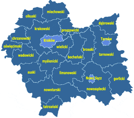 . CHARAKTERYSTYKA GMINYDIAGNOZA POTENCJAŁÓW I NEGATYWÓW.. Położenie Gmina Lisia Góra położona jest w województwie małopolskim, w powiecie ziemskim tarnowskim.