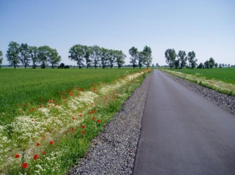 o długości 1,1 km stan