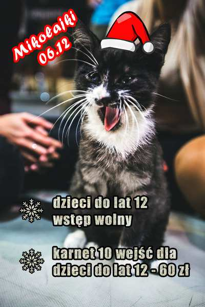 Mikołaja Dystans -10 km - Na półmetku niespodzianka, org.