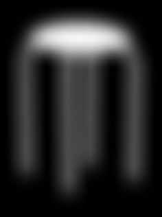 0x00 cm - zł,