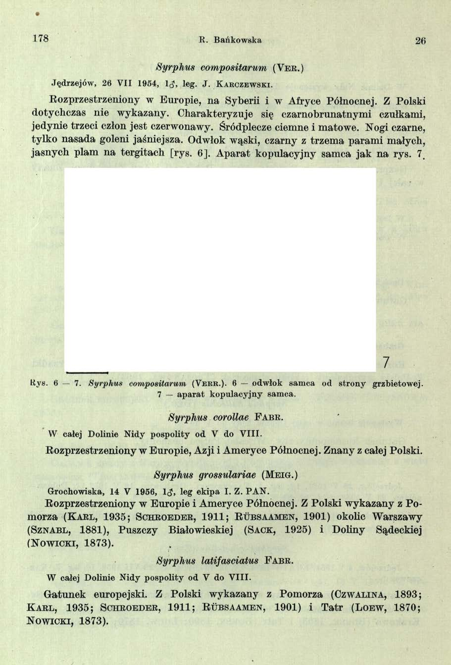 178 R. Bańkowska Syrphus compositarum (Y e r.) Jęd rzejó w, 26 VII 1954, 1^, leg. J. K a rc z e w s k i. Rozprzestrzeniony w Europie, na Syberii i w Afryce Północnej. Z Polski dotychczas nie wykazany.