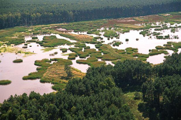 Dolina Baryczy dzieło człowieka i