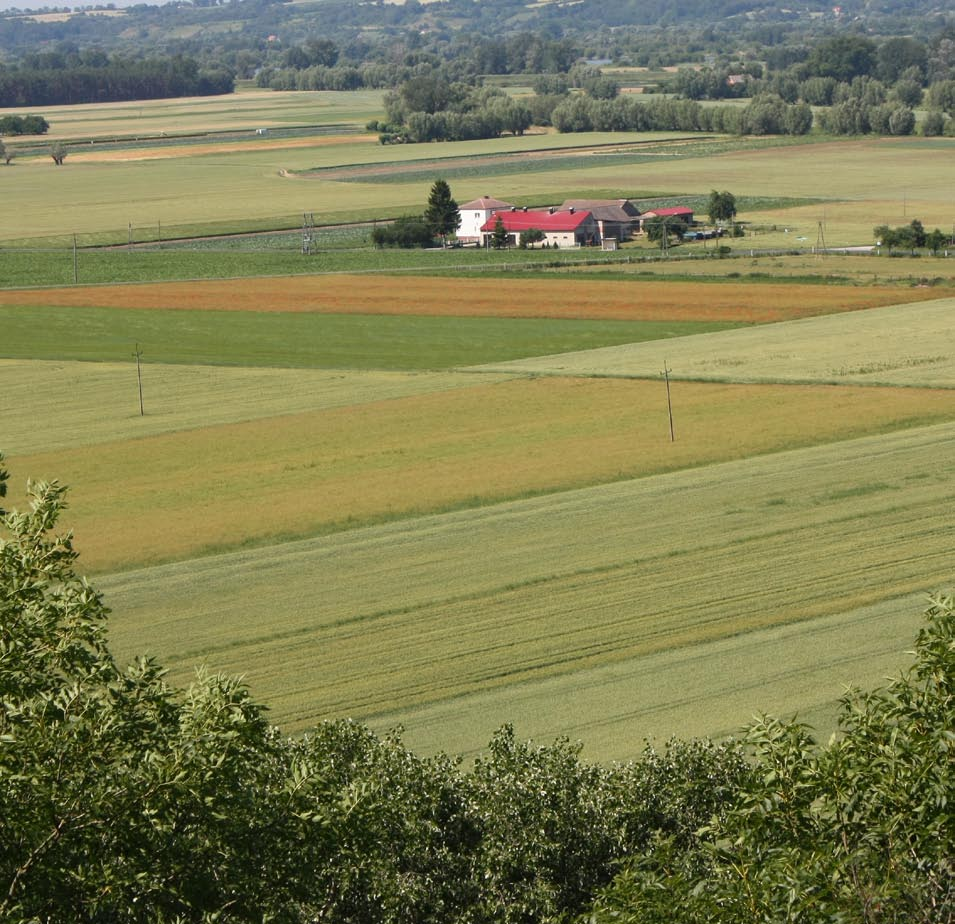 KPODR zaprasza KONKURSY EKOLOGICZNE Minikowo 7 maja KONKURS w Minikowie Kujawsko-Pomorski Ośrodek Doradztwa Rolniczego w Minikowie zaprasza wszystkich zainteresowanych do udziału w konkursie wiedzy