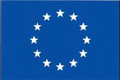 Emblemat ma formę niebieskiej prostokątnej flagi, której szerokość stanowi półtorej długości wysokości.