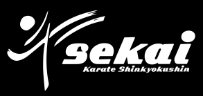 Uczniowski Klub Sportowy Karate Kyokushin Sekai Ul. Św. Wincentego 89/88 03-291 Warszawa tel:0 608 398 398, 0 608 427 556 Konto: nr. 83 1090 1841 0000 0001 2252 2670 www.karatewarszawa.pl.