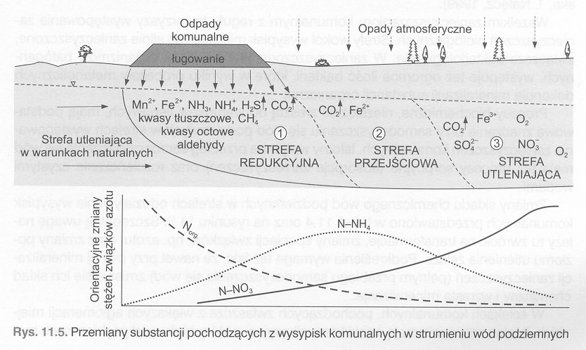 Ogniska (źródła)