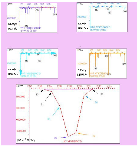 GC / MS /