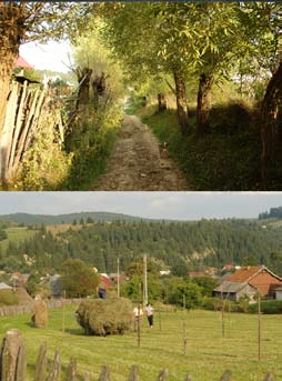 In studiul asupra zonei s-au descoperit deja existenta unor trasee turistice orientate spre admirarea peisajului in zona Poiana Micului.