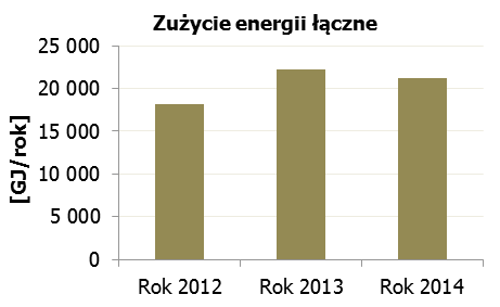 Tabela 1-4 Struktura zużycia paliw i energii w