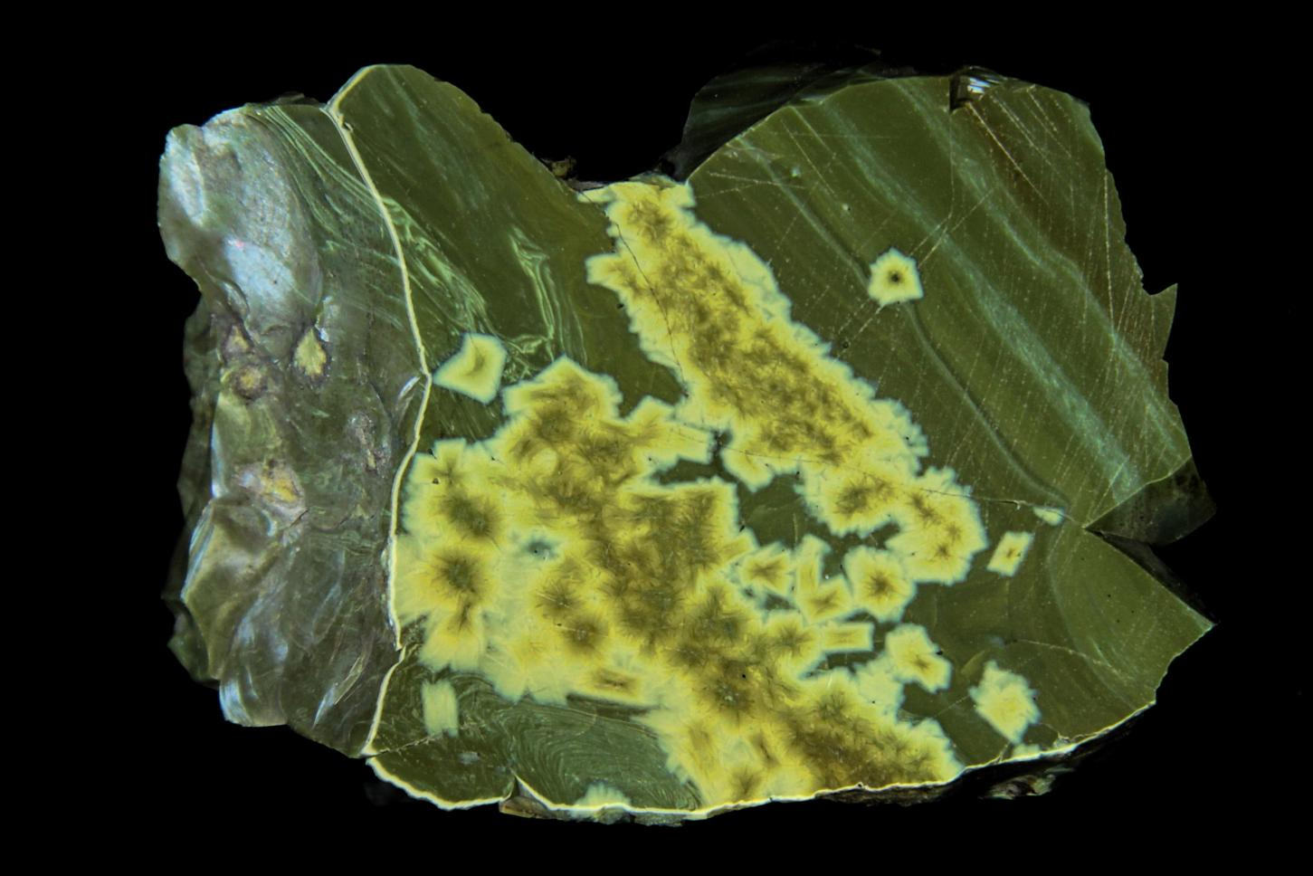 1cm Fig.11. Próbka nr. 8. Wybrane fragmenty przedstawiono na fig. 12 i 13. 1 2 Fig.11. Fragment próbki 8, powierzchnia polerowana.