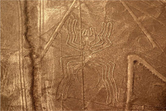 Dzień 11 Paracas Nazca- Paracas Śniadanie, dla chętnych przelot nad liniami Nasca, lunch, czas wolny, kolacja.