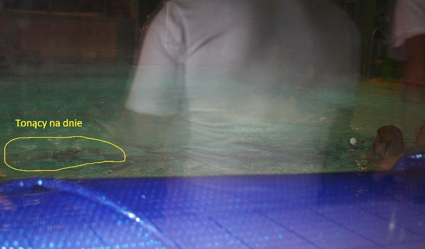 nie są w stanie ogarniać wzrokiem. Aby zaobserwować, co się tam dzieje, muszą podejść w ten konkretny punkt i poświęcić chwilę (kilkanaście sekund) na wzrokowe spenetrowanie terenu.