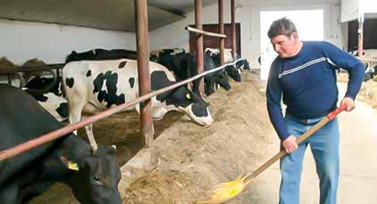 Zdaniem Państwa Duszników nieocenione znaczenie w uzyskiwaniu rekordowo wysokiej produkcji mleka mają informacje otrzymywane w wyniku prowadzenia oceny wartości użytkowej bydła.