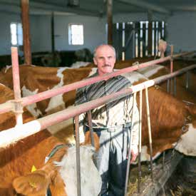 Powierzchnia gospodarstwa licząca 9,66 ha, w tym 3 ha łąk, zadecydowała o specjalizacji hodowli bydła mlecznego rasy simentalskiej.