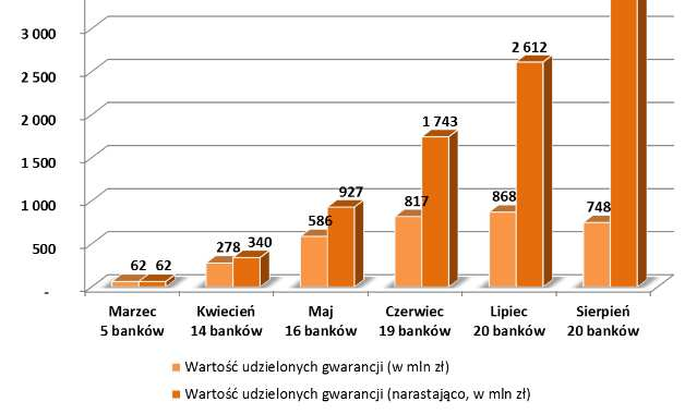 Działalność poręczeniowa sytuacja bieżąca sektora poręczeniowego w