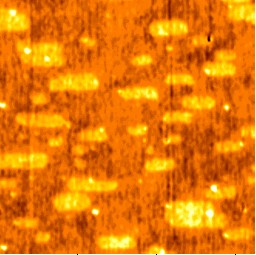 Topographic height in DFM and KPFM DFM imaging: total interaction between the