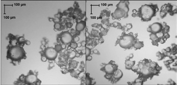 636 POLIMERY 2016, 61, nr 9 roztworu kwasu 3,5-dinitrosalicylowego (DNS) [42]. Pomiar absorbancji wykonano w zakresie 490 520 nm za pomocą spektrofotometru Shimadzu 2101PC.