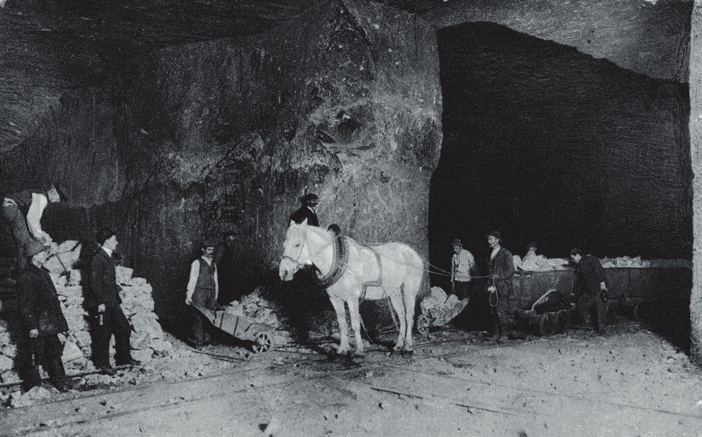 80 j. charkot w okresie od 1861 do 1883 r. w obu kopalniach kieraty nad szybami zastąpiono parowymi maszynami wyciągowymi oraz wyeliminowano transport pionowy podziemnymi szybikami.