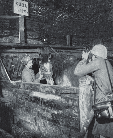 wielickiej, 1982 r. Fot. 12.