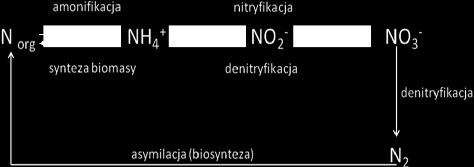 z atmosfery, ze ścieków miejskich, przemysłowych, odwadniania kopalni oraz jako spływ powierzchniowy. Azot jest obecny także w osadach dennych i organizmach wodnych.