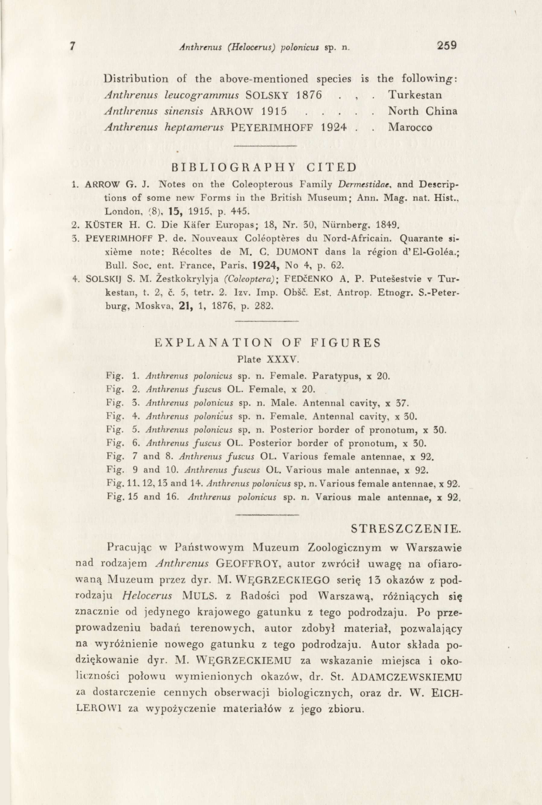 7 Anthrenus (Helocerus) polonicus sp. n. 259 Distribution of the above-mentioned species is the following: Anthrenus leucogrammus SOLSKY 1876.,. Turkestan Anthrenus sinensis ARROW 1 9 1 5.