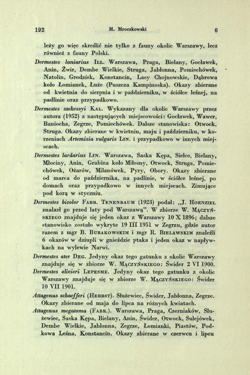 1 9 2 M. Mroczkowski 6 leży go więc skreślić nie tylko z fau n y okolie W arszaw y, lecz rów nież z fau n y Polski. Dermestes laniarius I I I.