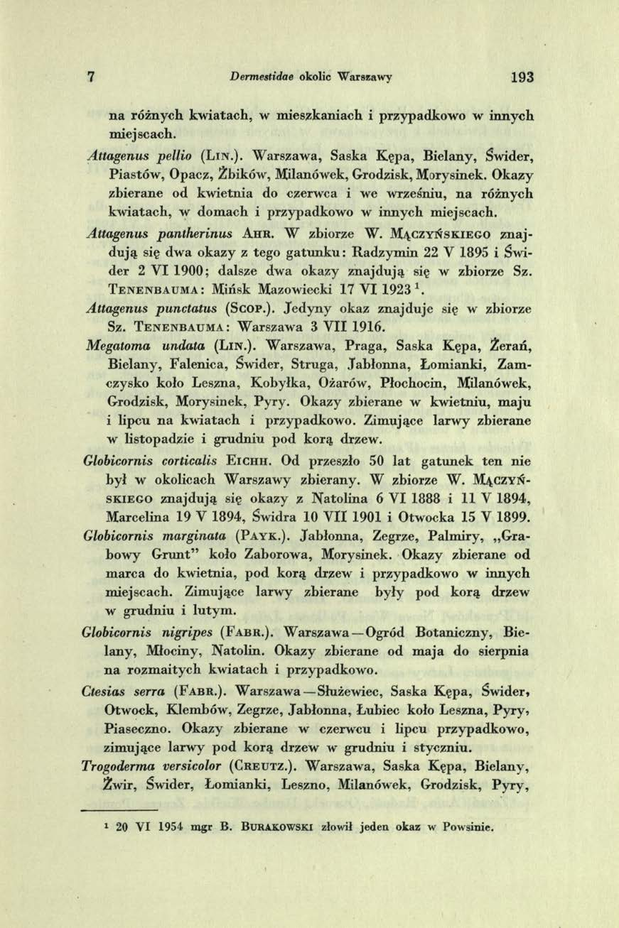 7 Dermestidae okolic Warszawy 1 9 3 na różnych kw iatach, w m ieszkaniach i przypadkow o w innych m iejscach. Attagenus pellio ( L in.).