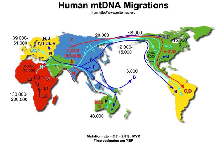 Migracje